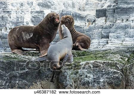 Stock Image - Views of the Beagle Channel, Ushuaia, Argentina. Fotosearch
