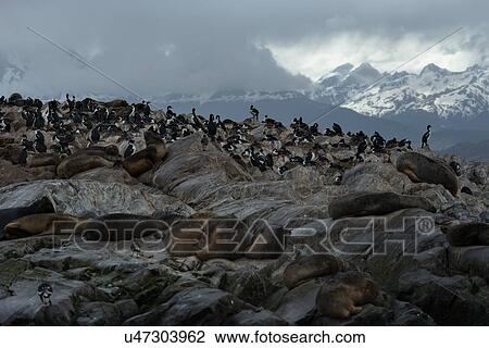Stock Image - Views of the Beagle Channel, Ushuaia, Argentina. Fotosearch