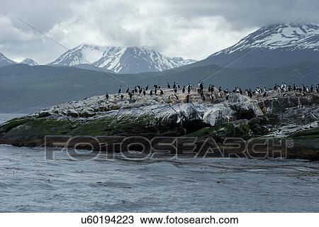 Views of the Beagle Channel, Ushuaia, Argentina View Large Photo Image Stock Image - Views of the Beagle Channel, Ushuaia, Argentina. Fotosearch