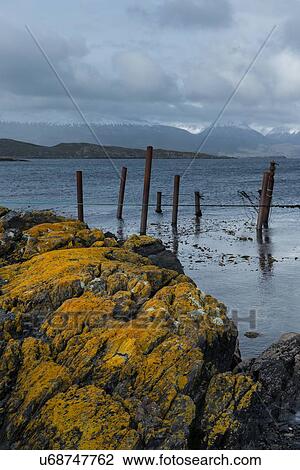 Views of the Beagle Channel, Ushuaia, Argentina View Large Photo Image Stock Image - Views of the Beagle Channel, Ushuaia, Argentina. Fotosearch