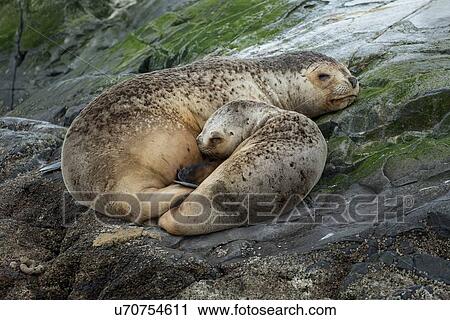 Stock Image - Views of the Beagle Channel, Ushuaia, Argentina. Fotosearch