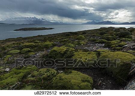 Stock Image - Views of the Beagle Channel, Ushuaia, Argentina. Fotosearch