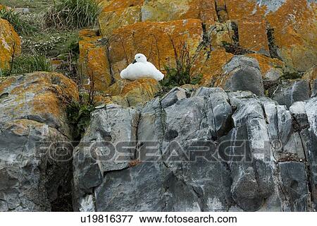 Stock Photo - Views of the Beagle Channel, Ushuaia, Argentina. Fotosearch