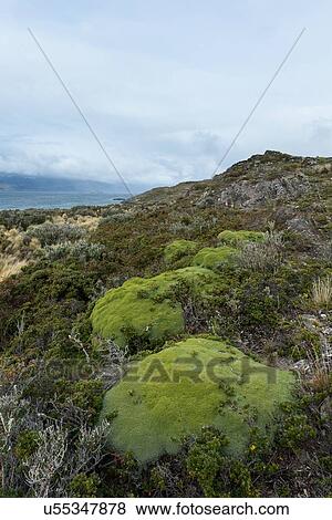 Stock Photo - Views of the Beagle Channel, Ushuaia, Argentina. Fotosearch