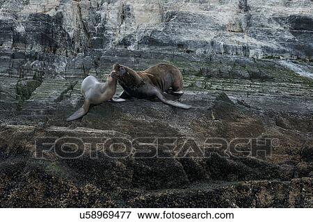 Stock Photo - Views of the Beagle Channel, Ushuaia, Argentina. Fotosearch