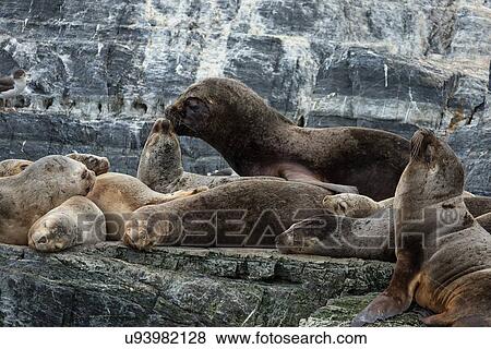 Stock Photo - Views of the Beagle Channel, Ushuaia, Argentina. Fotosearch