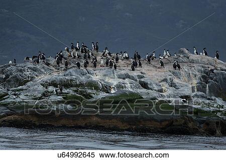 Views of the Beagle Channel, Ushuaia, Argentina View Large Photo Image Stock Photography - Views of the Beagle Channel, Ushuaia, Argentina. Fotosearch