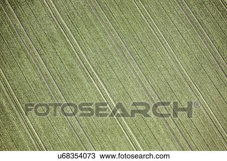 Aerial view of field landscape View Large Photo Image Stock Image - Aerial view of field landscape. Fotosearch