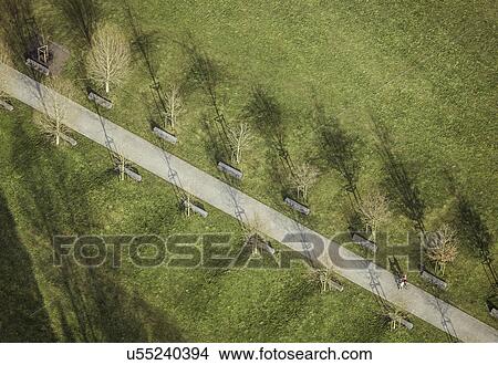 Aerial view of tree lined path View Large Photo Image Picture - Aerial view of tree lined path. Fotosearch