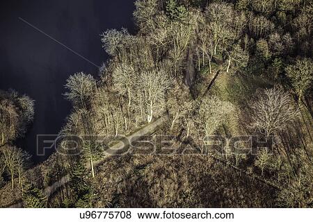 Aerial view of trees View Large Photo Image Stock Photo - Aerial view of trees. Fotosearch