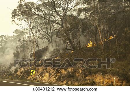 Bush fire, New South Wales, Australia View Large Photo Image Stock Image - Bush fire, New South Wales, Australia. Fotosearch