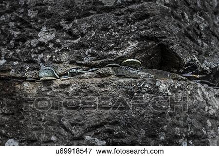 Close up of coins placed in rock, Giants Causeway, Bushmills, County Antrim, Northern Ireland, UK View Large Photo Image Stock Photo - Close up of coins placed in rock, Giants Causeway, Bushmills, County Antrim, Northern Ireland, UK. Fotosearch
