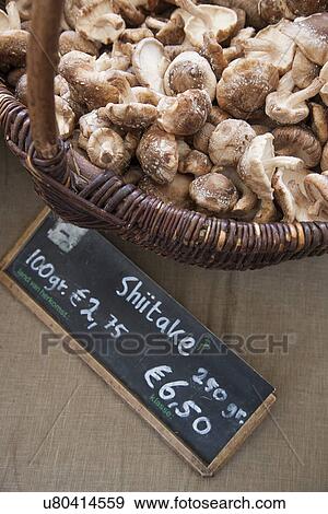Close up of market stall shiitake mushrooms, Amsterdam, Netherlands View Large Photo Image Stock Photo - Close up of market stall shiitake mushrooms, Amsterdam, Netherlands. Fotosearch