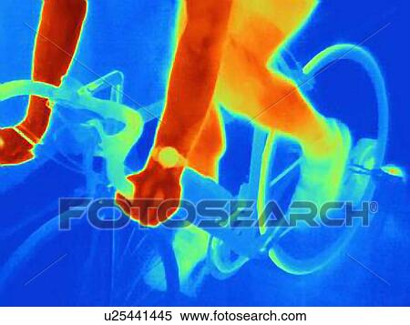 Close up thermal image of young male athlete in training, showing the heat of the muscles and of the bicycle tires View Large Photo Image Stock Photography - Close up thermal image of young male athlete in training, showing the heat of the muscles and of the bicycle tires. Fotosearch