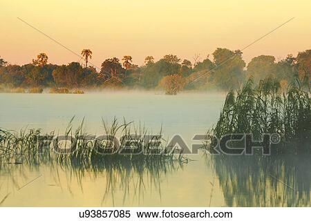 Stock Photography - Dawn over Zambezi River, Zambia. Fotosearch