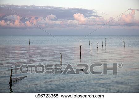 Fishing poles and netting, Vollendam, Netherlands View Large Photo Image Stock Photography - Fishing poles and netting, Vollendam, Netherlands. Fotosearch