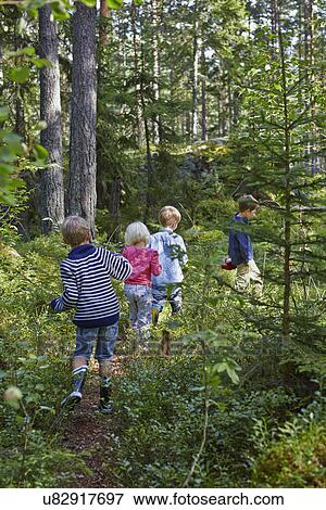 Stock Photo - Four young children wandering in forest. Fotosearch