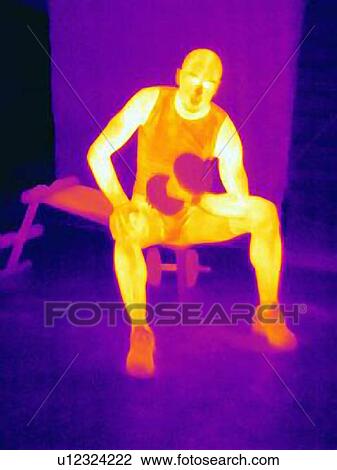 Stock Image - Front view thermal image of young male athlete training with barbells. The image shows the heat produced by the muscles. Fotosearch