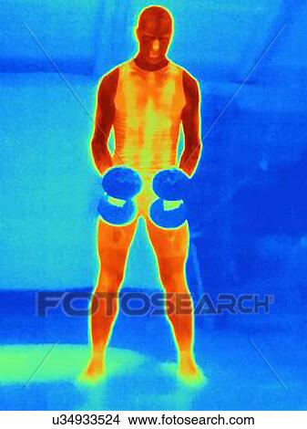 Front view thermal image of young man training with barbells. The image shows the heat produced by the muscles View Large Photo Image Picture - Front view thermal image of young man training with barbells. The image shows the heat produced by the muscles. Fotosearch
