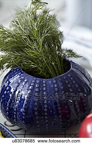 Herbs growing in blue plant pot View Large Photo Image Stock Photography - Herbs growing in blue plant pot. Fotosearch