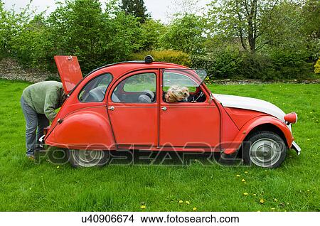 Picture - Mature couple and dog in field with vintage car. Fotosearch