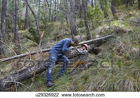 Mid adult man smelling daughters hand in forest View Large Photo Image Stock Image - Mid adult man smelling daughters hand in forest. Fotosearch