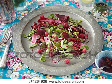 Plate of salad and berries View Large Photo Image Stock Photograph - Plate of salad and berries. Fotosearch