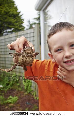 Picture - Portrait of young boy in garden holding up toad. Fotosearch