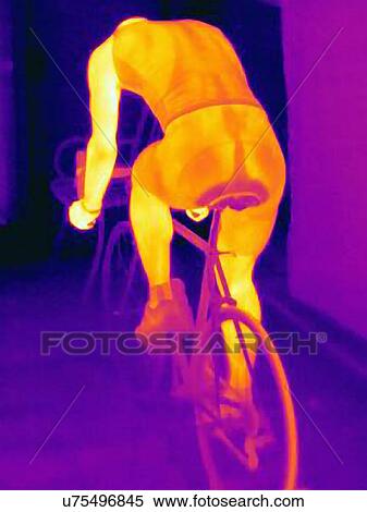 Rear view thermal image of young male cyclist in training, showing the heat of the muscles and of the bicycle tires View Large Photo Image Stock Photography - Rear view thermal image of young male cyclist in training, showing the heat of the muscles and of the bicycle tires. Fotosearch