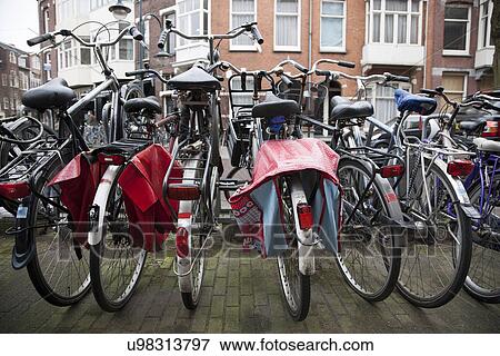 Rows of bicycles, Amsterdam, Netherlands View Large Photo Image Stock Photo - Rows of bicycles, Amsterdam, Netherlands. Fotosearch