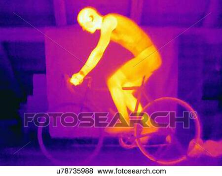 Side view thermal image of young male cyclist in training, showing the heat of the muscles and of the bicycle tires View Large Photo Image Stock Photo - Side view thermal image of young male cyclist in training, showing the heat of the muscles and of the bicycle tires. Fotosearch
