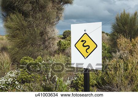 Snake warning roadsign, Victoria, Australia View Large Photo Image Picture - Snake warning roadsign, Victoria, Australia. Fotosearch