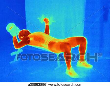 Stock Photograph - Thermal image of an athlete training with weights. The image shows the heat produced by the muscles. Fotosearch