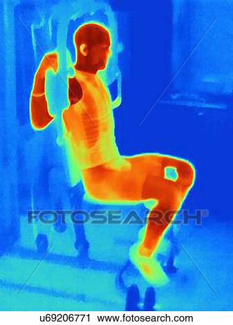 Thermal image of athlete training on exercise machine. Image shows the heat produced by the muscles during training View Large Photo Image Stock Image - Thermal image of athlete training on exercise machine. Image shows the heat produced by the muscles during training. Fotosearch