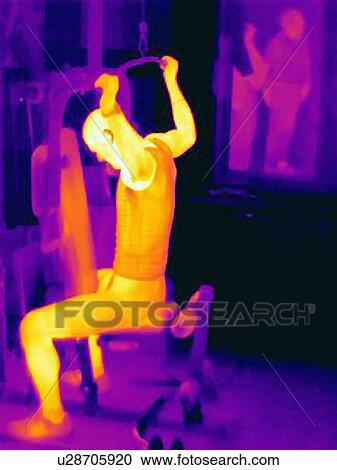 Stock Image - Thermal image of man training on exercise machine. Image shows the heat produced by the muscles during training. Fotosearch