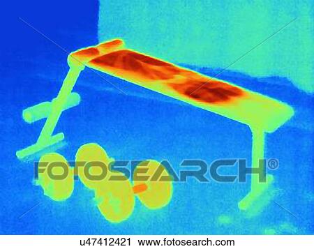 Stock Image - Thermal image of weight bench. The image shows the heat left on the bench by the athlete after the exercise. Fotosearch