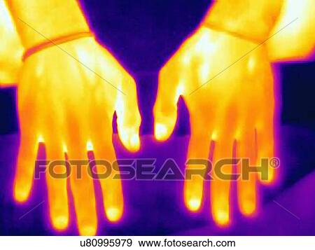Thermal image of weight lifters hands. The image shows the heat left after training View Large Photo Image Stock Photo - Thermal image of weight lifters hands. The image shows the heat left after training. Fotosearch