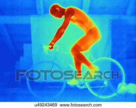 Thermal image of young male athlete in training, showing the heat of the muscles and of the bicycle tires View Large Photo Image Stock Photo - Thermal image of young male athlete in training, showing the heat of the muscles and of the bicycle tires. Fotosearch