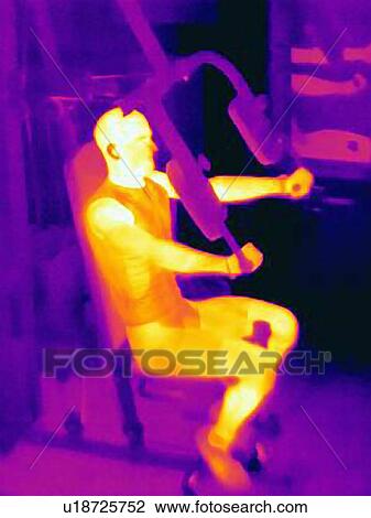 Stock Image - Thermal image of young male athlete training on exercise machine. Image shows the heat produced by the muscles during training. Fotosearch