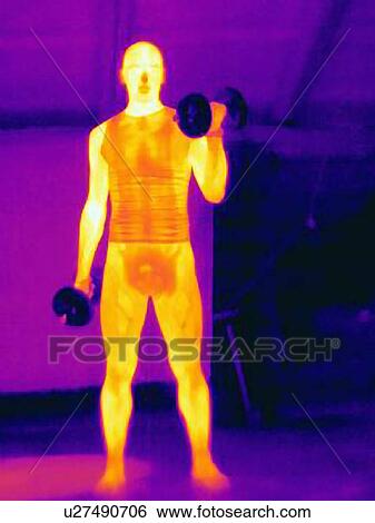 Stock Photograph - Thermal image of young male training with barbells. The image shows the heat produced by the muscles. Fotosearch