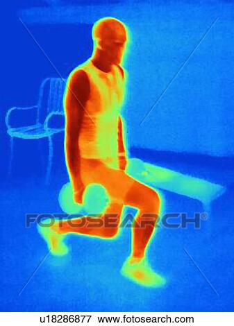 Thermal image of young man training with barbells. The image shows the heat produced by the muscles View Large Photo Image Stock Photo - Thermal image of young man training with barbells. The image shows the heat produced by the muscles. Fotosearch
