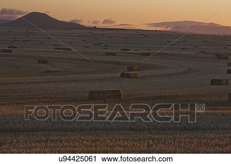 Stock Image - View of haystacks in field and mountains at sunset. Fotosearch
