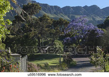 View of tranquil rural village, South Africa View Large Photo Image Stock Photograph - View of tranquil rural village, South Africa. Fotosearch