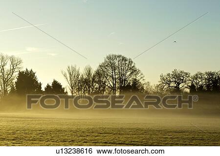 Winter morning landscape with mist hovering above field View Large Photo Image Stock Photograph - Winter morning landscape with mist hovering above field. Fotosearch