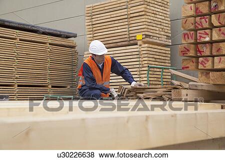 Woodworker sorting wooden planks in timber yard View Large Photo Image Stock Photo - Woodworker sorting wooden planks in timber yard. Fotosearch