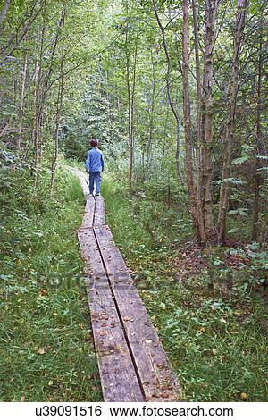 Young boy exploring forest walkway View Large Photo Image Stock Photograph - Young boy exploring forest walkway. Fotosearch