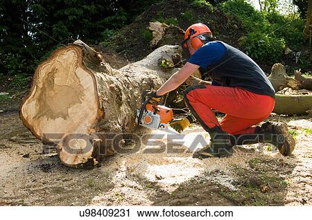 Young male tree surgeon kneeling whilst using chainsaw View Large Photo Image Stock Image - Young male tree surgeon kneeling whilst using chainsaw. Fotosearch