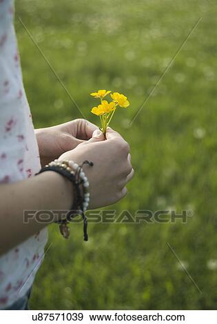 Young woman holding yellow flowers, close up View Large Photo Image Stock Photo - Young woman holding yellow flowers, close up. Fotosearch