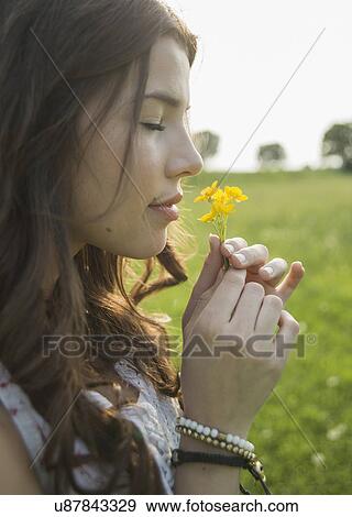 Young woman smelling flowers View Large Photo Image Stock Photo - Young woman smelling flowers. Fotosearch