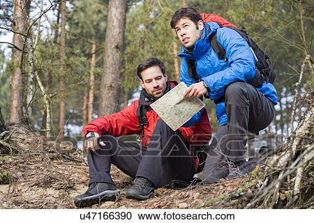 Backpackers with map in forest View Large Photo Image Stock Image - Backpackers with map in forest. Fotosearch